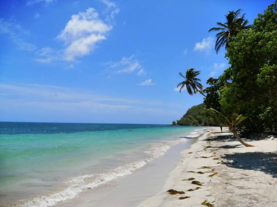 Mi Hermosa - Casa Islena A 70 Metros De La Playa Archibolds Esterno foto
